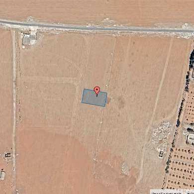 أرض - بالقرب من أكاديمية الزين الفروسية - 75000 دأ