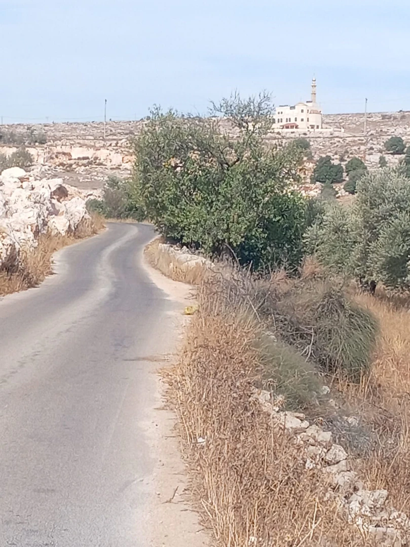 أرض في عجلون / صخرة طريق المؤدي الى النعيمة - 25,000 دأ - صورة 1