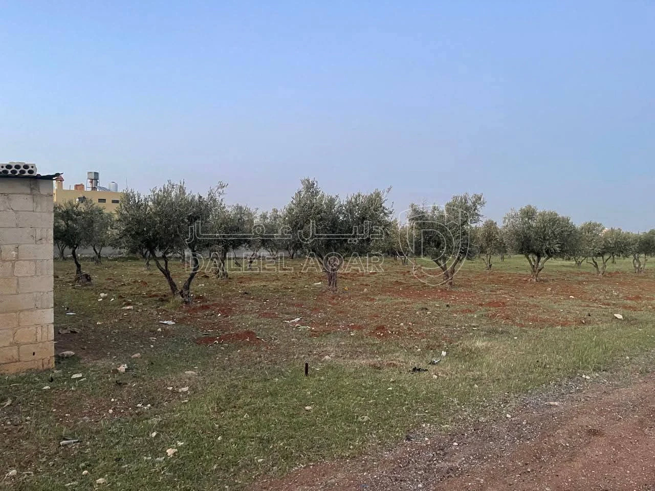 أرض في عمان الخضراء بريزا  - 200,000 دأ - صورة 1