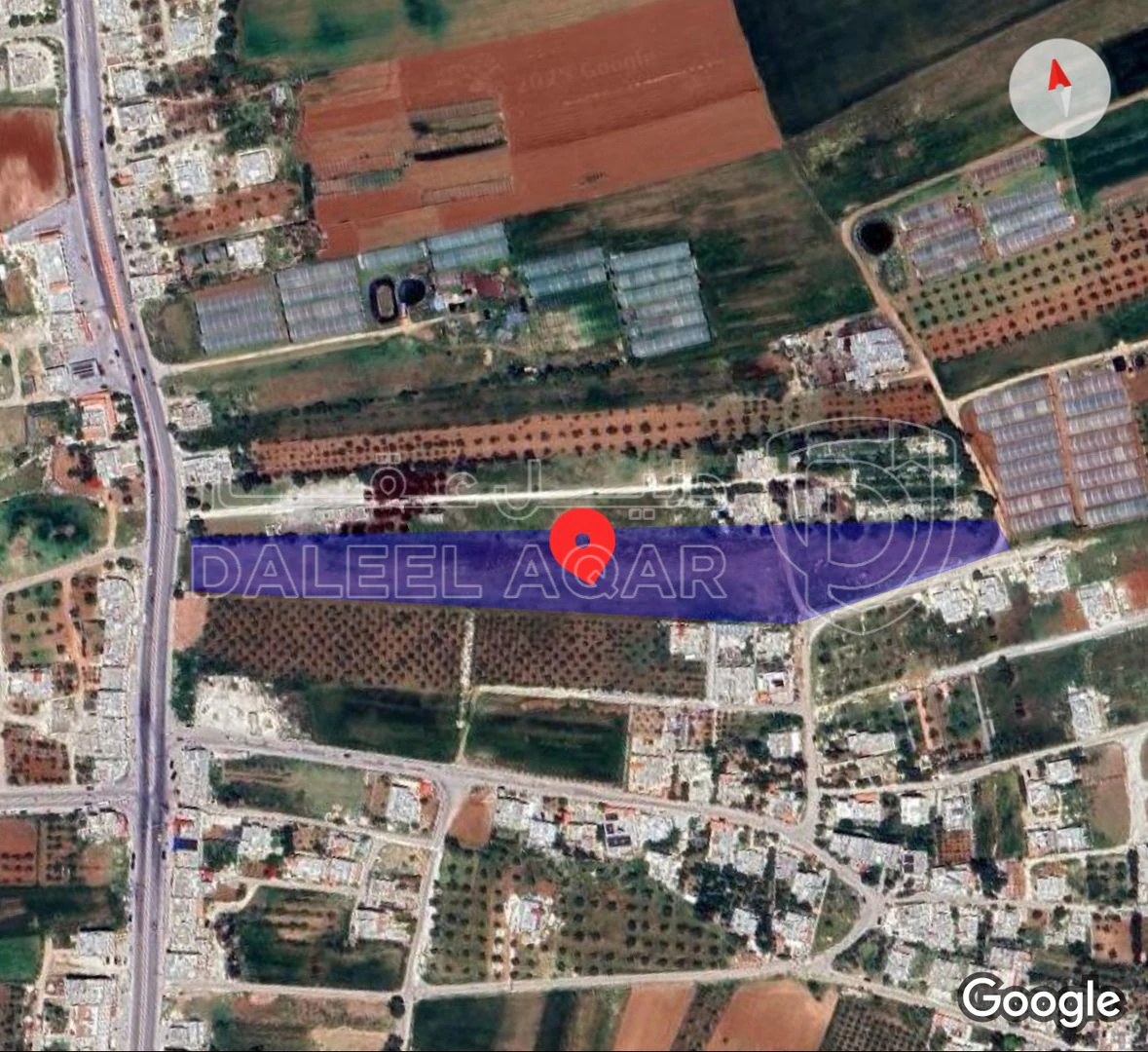 أرض في ارض استثمارية مساحة 22 دونم للبيع في مادبا - جرينة - 650,000 دأ - صورة 1