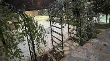مزرعة/شاليه في شارع السرو  - 170,000 دأ - صورة NaN