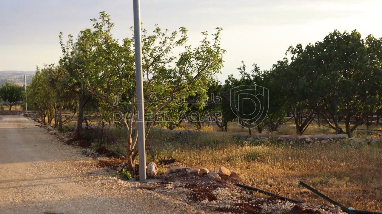 أرض في أرض سكنية للبيع في ناعور 9 دقائق عن كازية السلام - 80,000 دأ - صورة 1