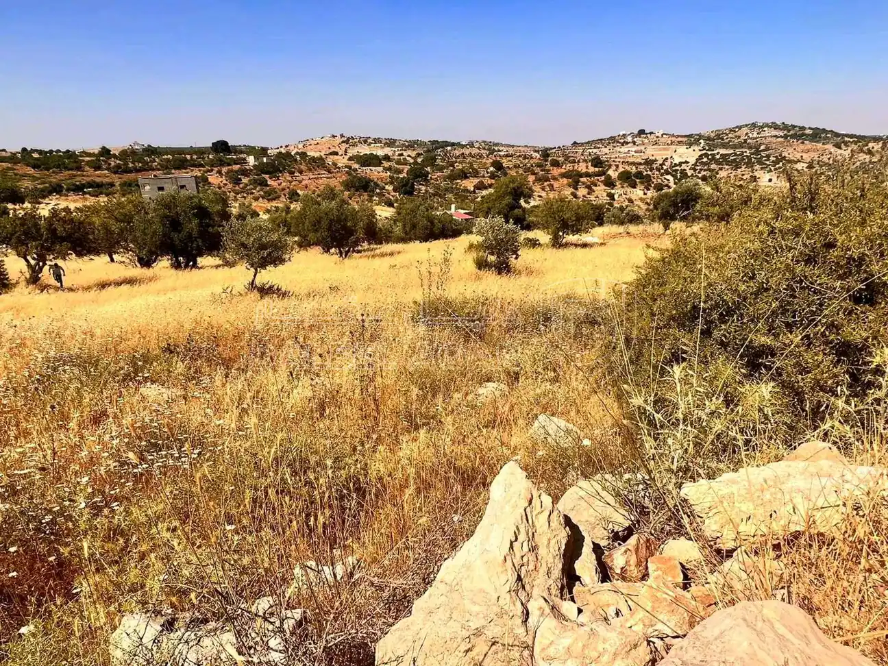 أرض في عجلون صخرة - حوض المشماس - 60,000 دأ - صورة 1