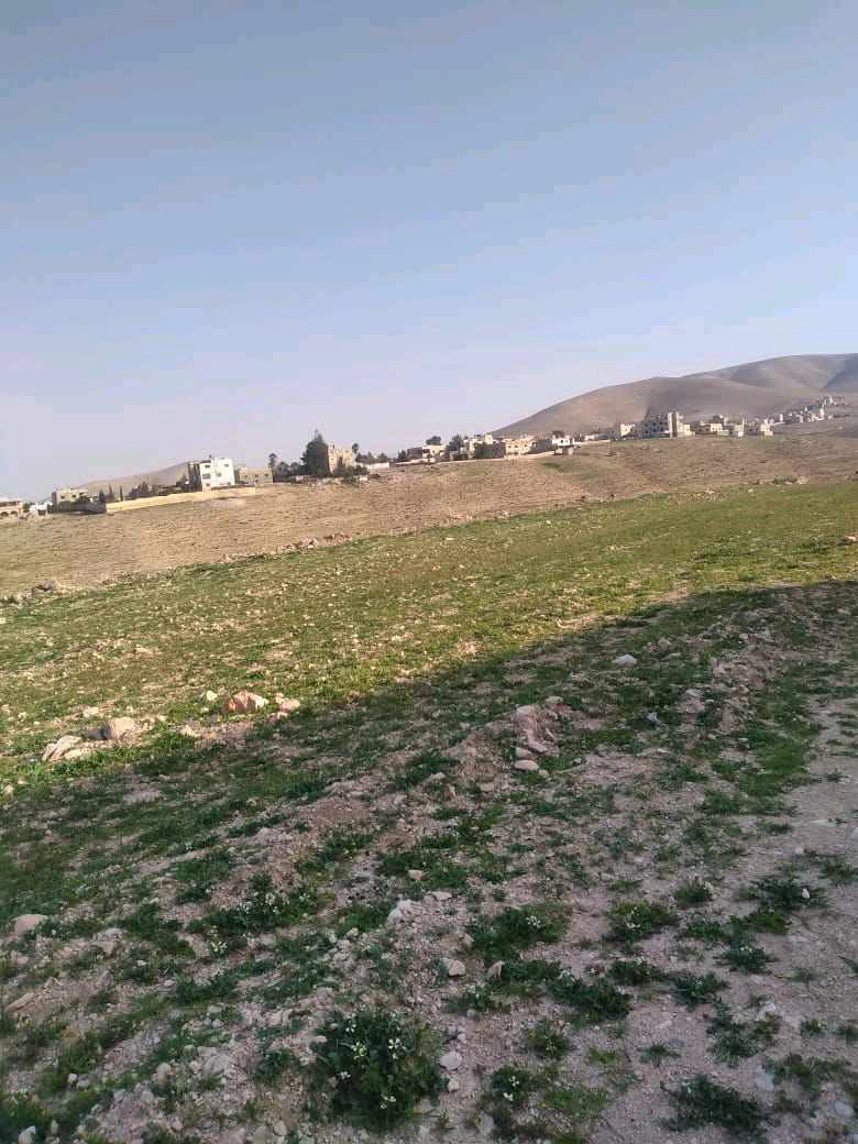 أرض في الزرقاء دوقرة  - 46,000 دأ - صورة 1