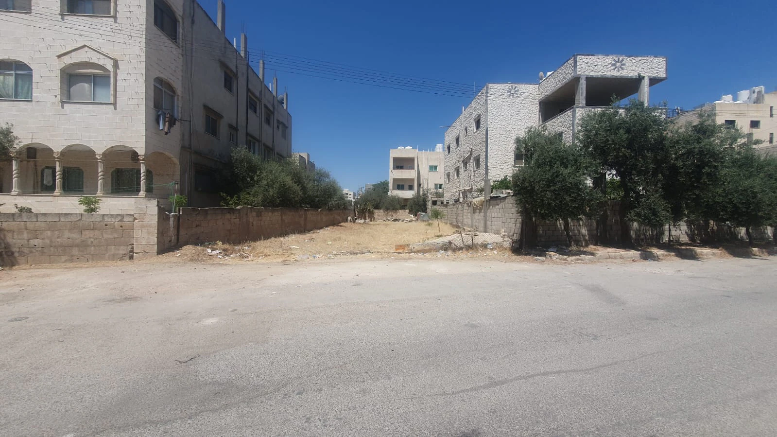أرض في أرض في جاوا مساحة ٣٦٠ حوشان مشترك  - 35,000 دأ - صورة 1