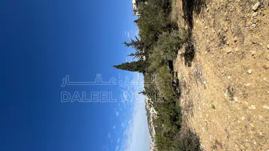 أرض في ماحص / أطراف منطقة بدر الجديده / بجانب قصر السعودي  - 170,000 دأ - صورة NaN