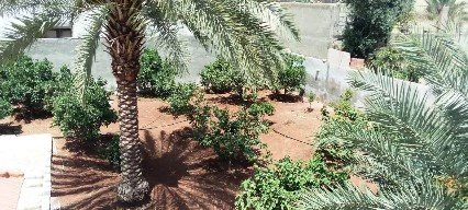 مزرعة/شاليه في شاليه علاء مشربش  - 110,000 دأ - صورة 1