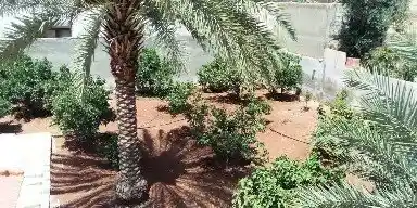 مزرعة/شاليه في شاليه علاء مشربش  - 110,000 دأ - صورة NaN