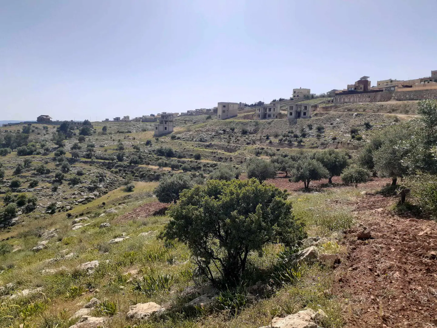 أرض في ارض للبيع في النبي هود  - 90,000 دأ - صورة 1