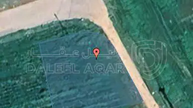 أرض -  اربد - قرية بيت اراس - 29925 دأ