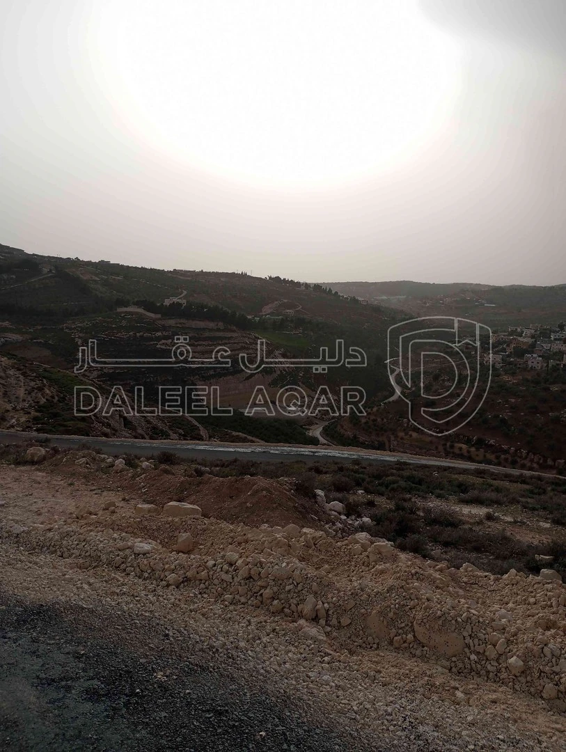 أرض في العال والروضة الزجيبه 500م بسعر 45الف قابل للتفاوض - 35,000 دأ - صورة 1