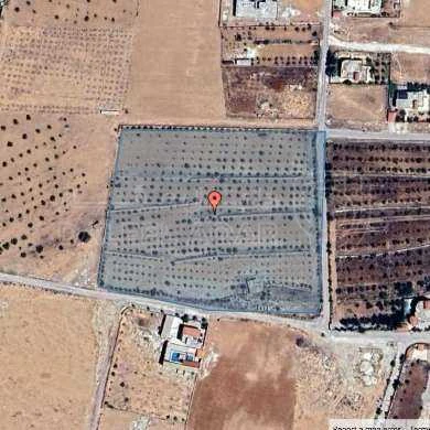 أرض في المفرق -  ايدون - 300,000 دأ - صورة 1