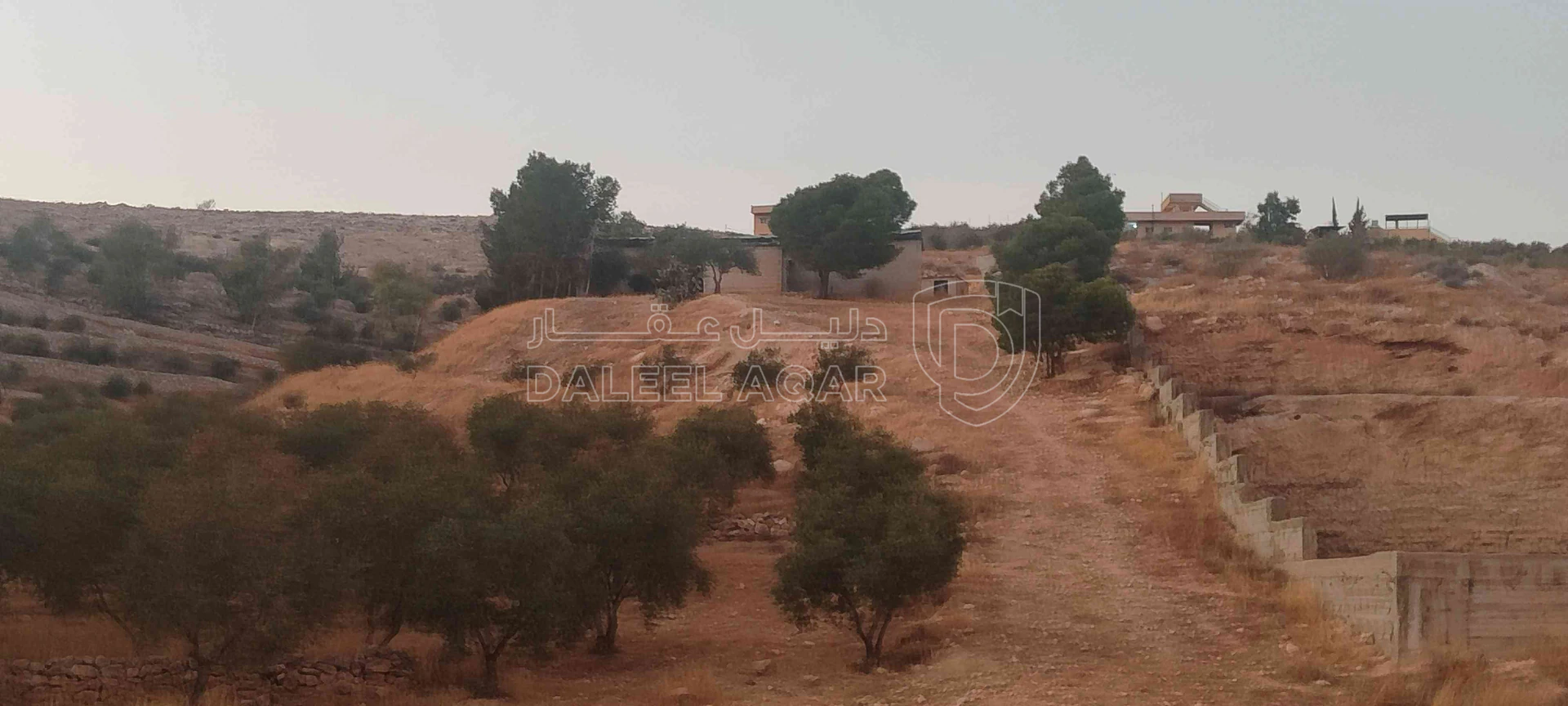 أرض في الزرقاء قضاء بيرين صروت  - 187,500 دأ - صورة 1