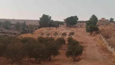 أرض في الزرقاء قضاء بيرين صروت  - 187,500 دأ - صورة NaN