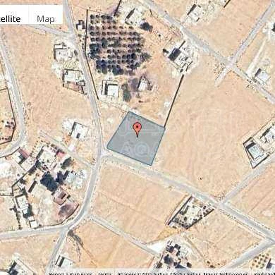أرض في محافظة الزرقاء- مزرعة قصر الحلابات - 20,000 دأ - صورة 1