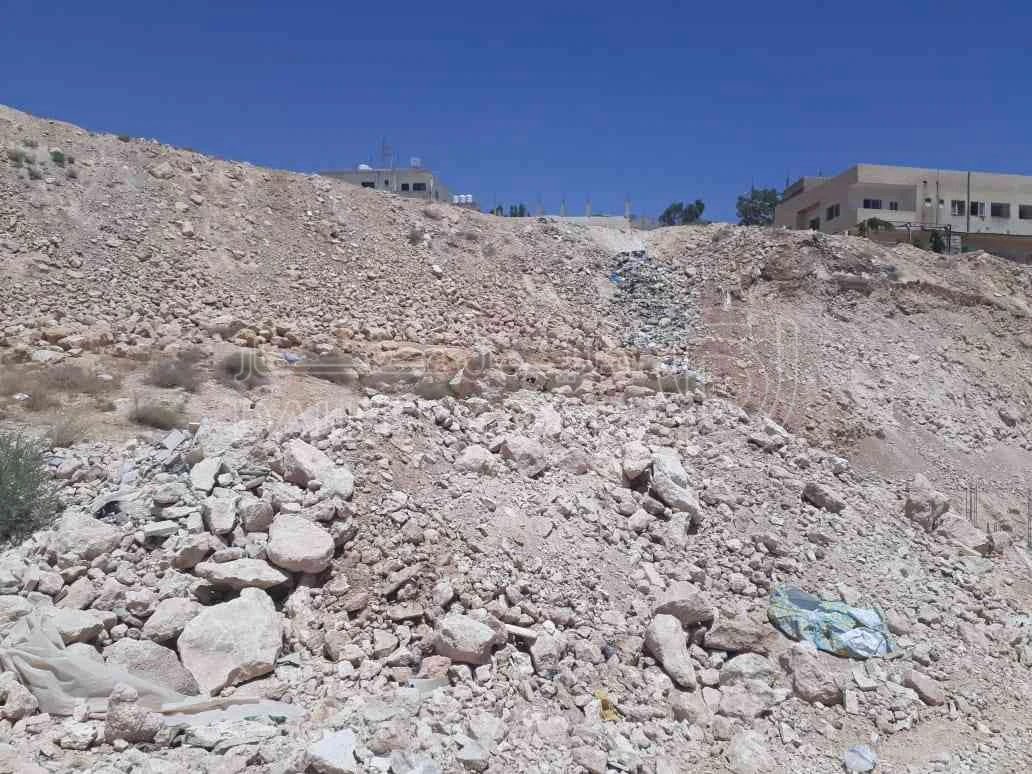 أرض في ارض للبيع في الزرقاء (جريبا ) - 25,500 دأ - صورة 1