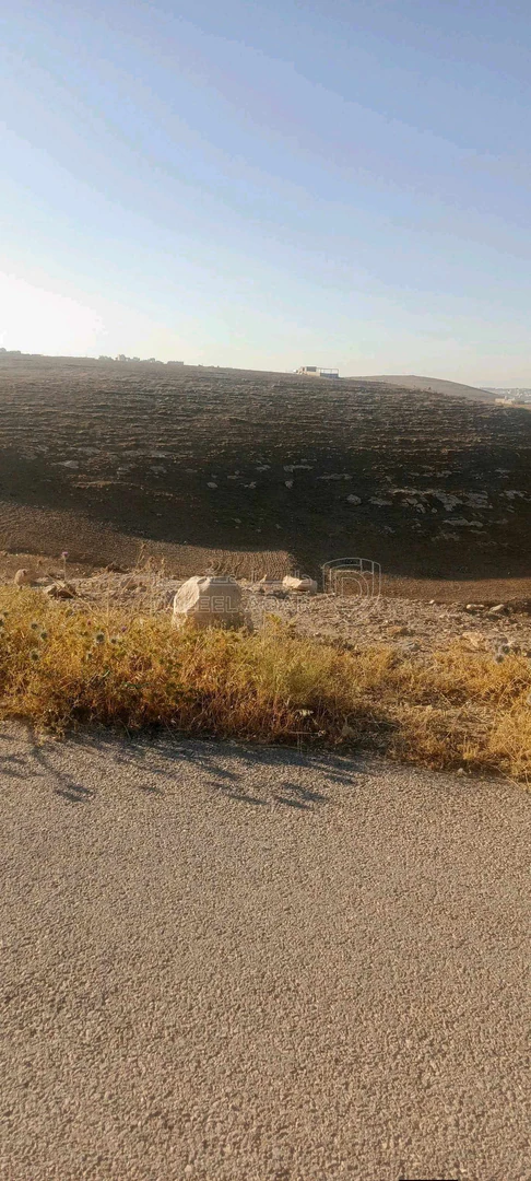 أرض في الكرك قرية مدين - 6,200 دأ - صورة 1