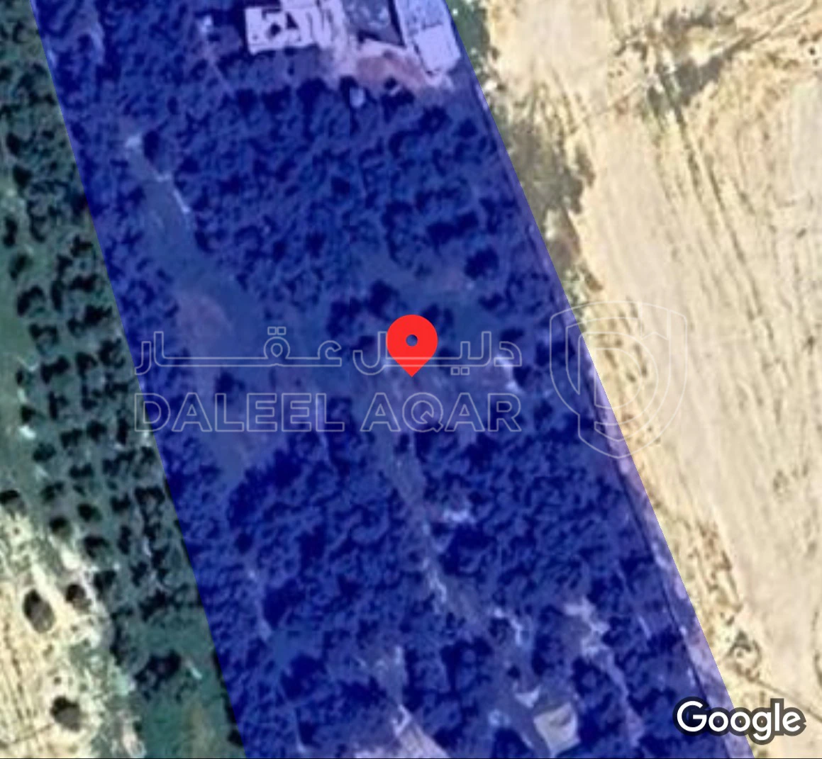 مزرعة/شاليه في جنوب عمان البريك مزرعة - 70,000 دأ - صورة 1