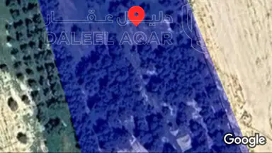 مزرعة/شاليه في جنوب عمان البريك مزرعة - 70,000 دأ - صورة NaN