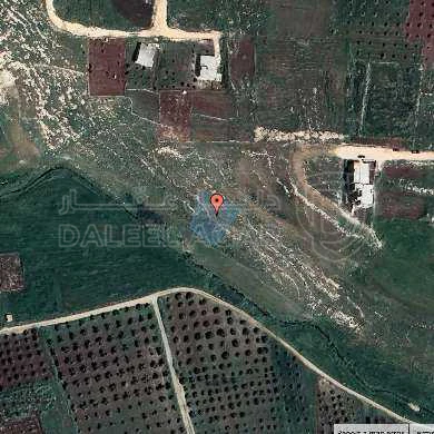 أرض في اربد - وادي حسبان - 14,000 دأ - صورة 1