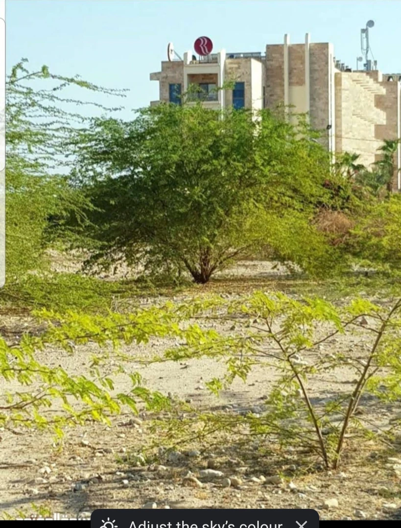 أرض في سويمة البحر الميت - 200,000 دأ - صورة 1