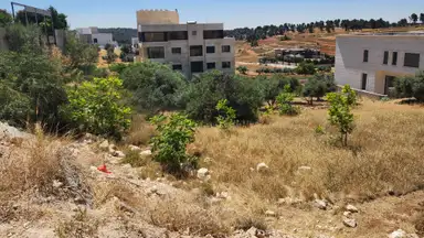 أرض في طريق المطار خلف المدارس العالمية - 360,000 دأ - صورة NaN