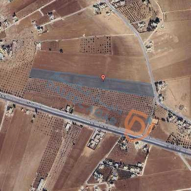 أرض في المفرق رحاب طريق البويضه ...حدها التنظيم  - 194,664 دأ - صورة 1