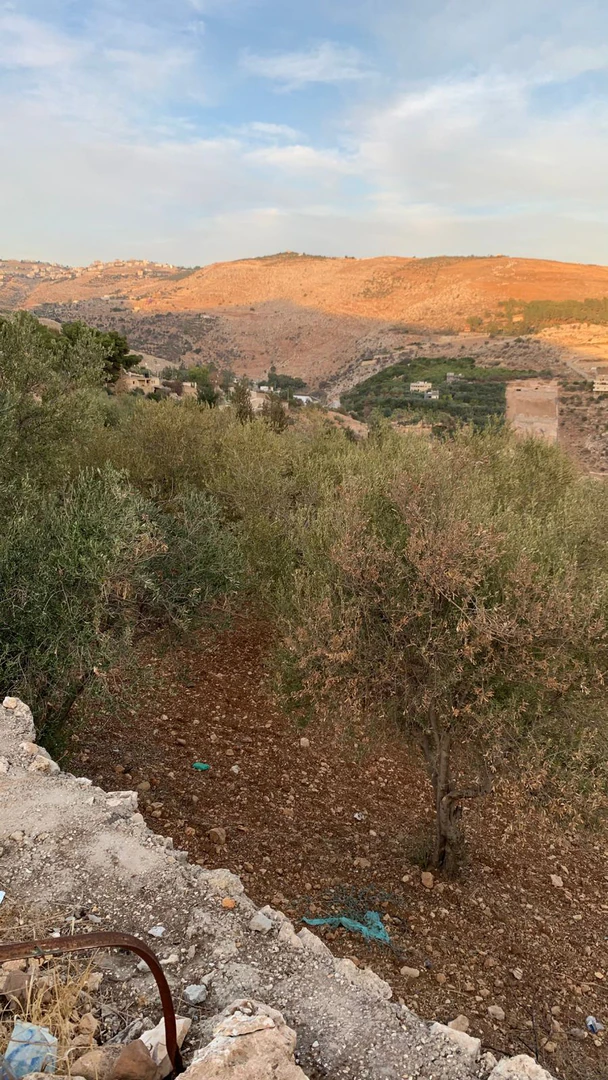أرض في مزرعه بسعر مغري جداً في السلط جورة صالح - 82,000 دأ - صورة 1