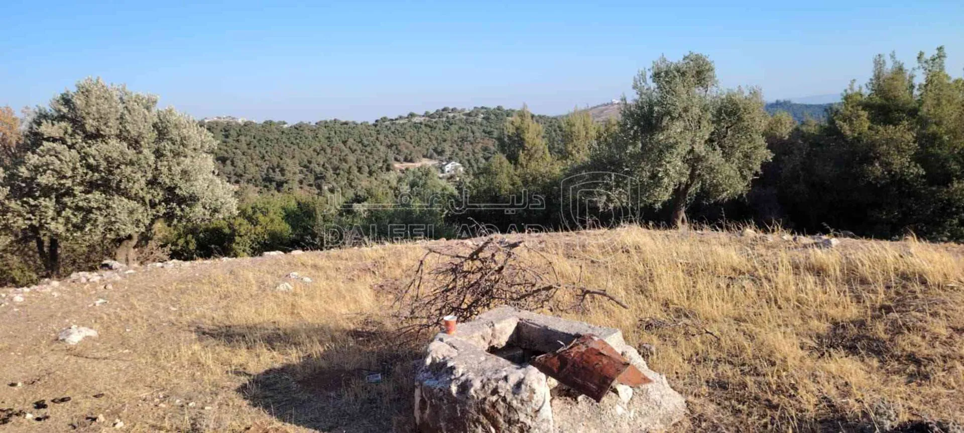أرض في جرش الحسينيات  - 118,000 دأ - صورة 1