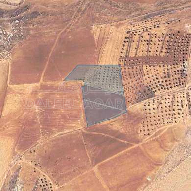 أرض في ارض للبيع في ذيبان11 دون - 46,000 دأ - صورة 1