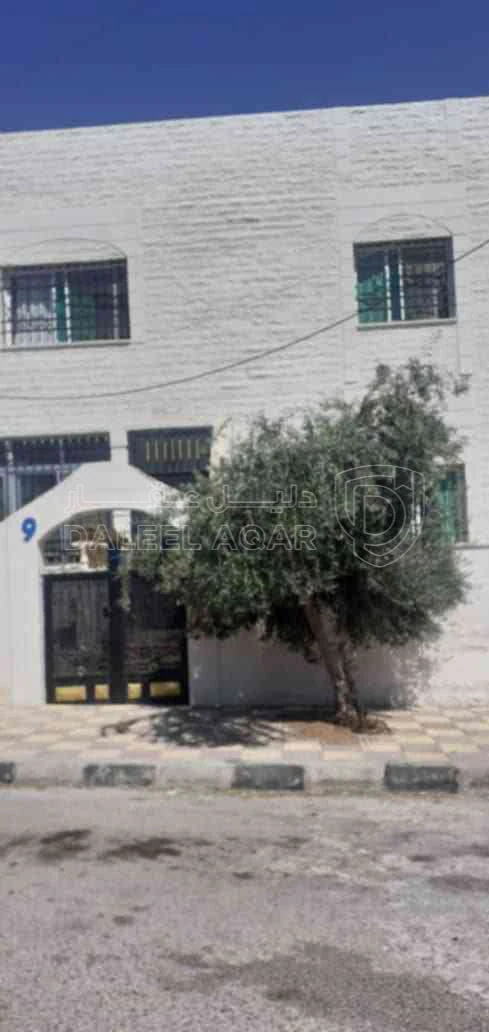 مبنى في عمان/جاوا - 170,000 دأ - صورة 1