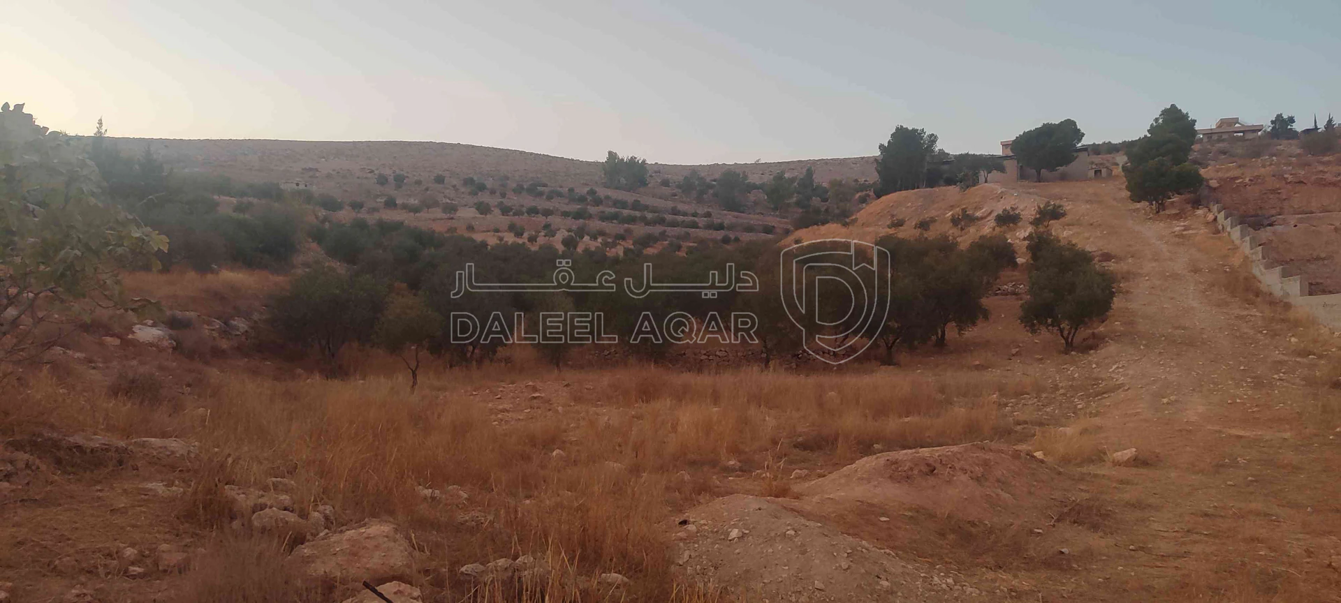 أرض في الزرقاء قضاء بيرين صروت  - 187,500 دأ - صورة 1