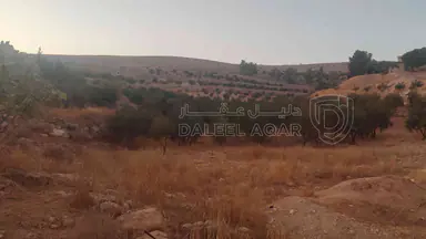 أرض في الزرقاء قضاء بيرين صروت  - 187,500 دأ - صورة NaN