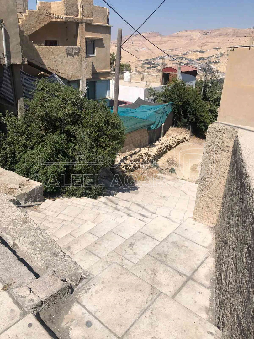 أرض في الطفيلة ام قرى - 25,000 دأ - صورة 1