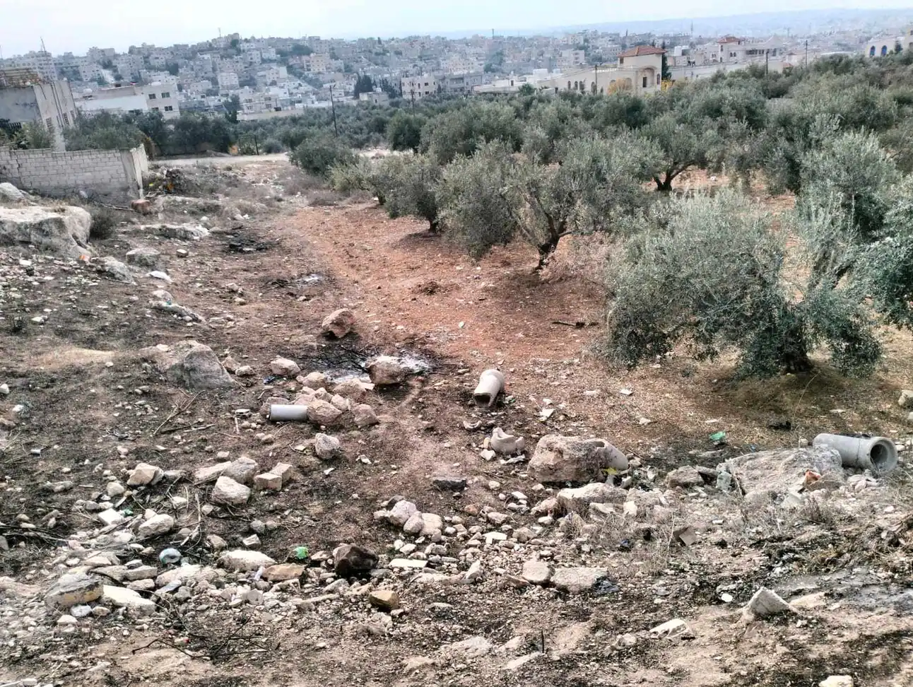 أرض في اربد بيت راس - 32,000 دأ - صورة 1