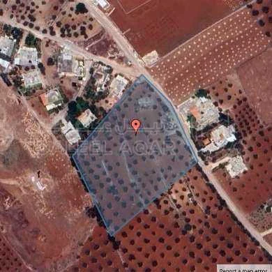 مزرعة/شاليه في البلقاء - سيحان - 195,000 دأ - صورة 1
