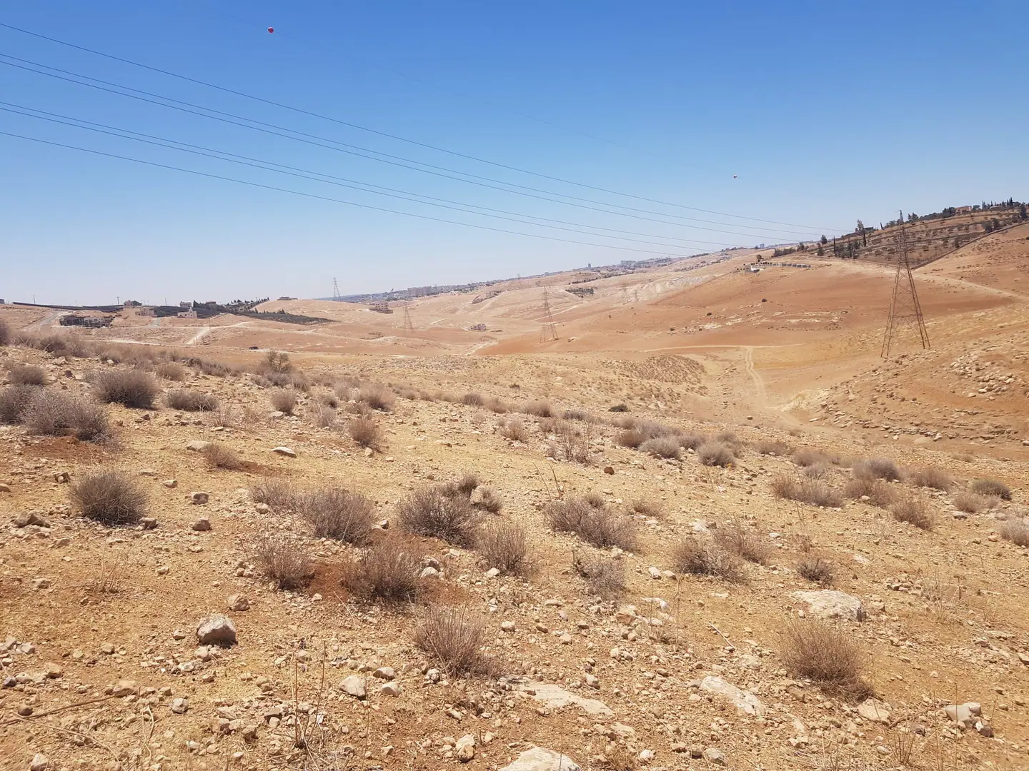 أرض في شفا بدران الجديدة زينات الربوع - 57,000 دأ - صورة 1