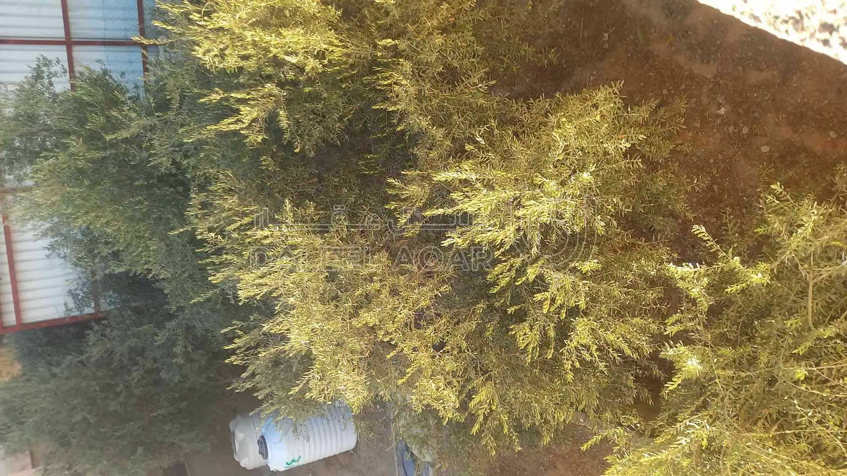 شقة في منزل مستقل  - 65,000 دأ - صورة 1