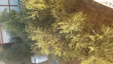 شقة في منزل مستقل  - 65,000 دأ - صورة NaN