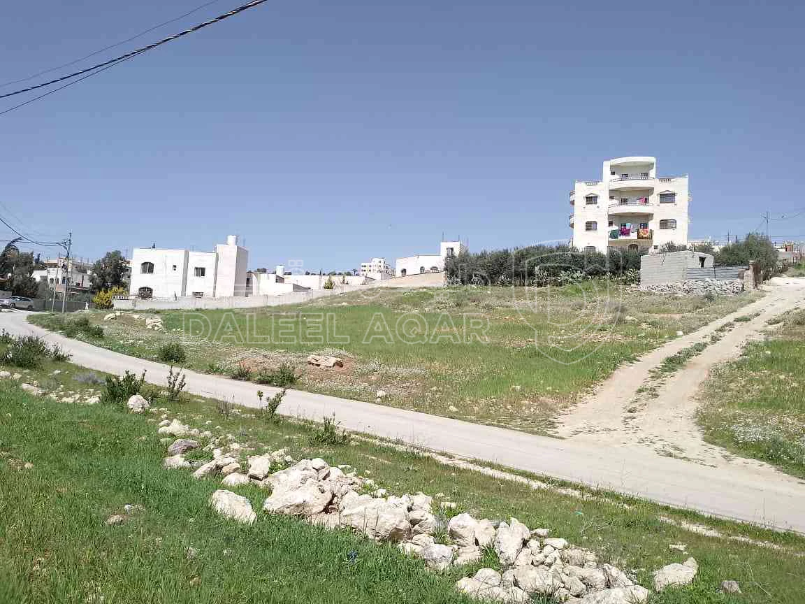 أرض في ارض في جريبا ممتازه  - 75,000 دأ - صورة 1