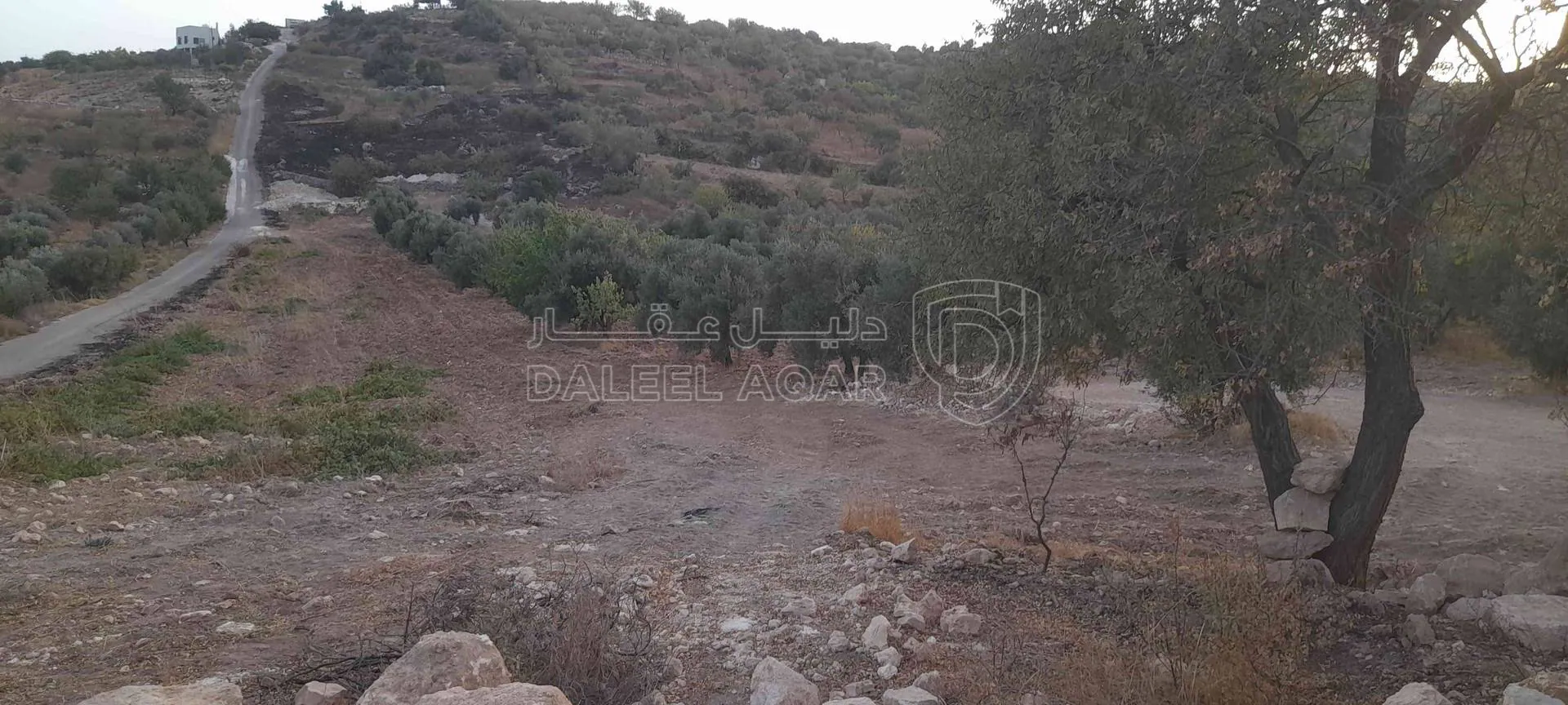 أرض في عجلون صخرة حوض كفريا - 31,000 دأ - صورة 1