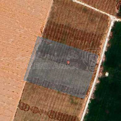 أرض في اراضي جنوب عمان _ وصيوص  - 250,018 دأ - صورة 1
