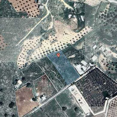 أرض في الزرقاء  - صروت   -  القرين - 82,360 دأ - صورة 1