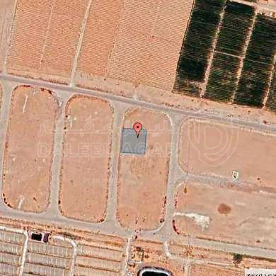 أرض في عمان - الطنيب - 81,000 دأ - صورة 1