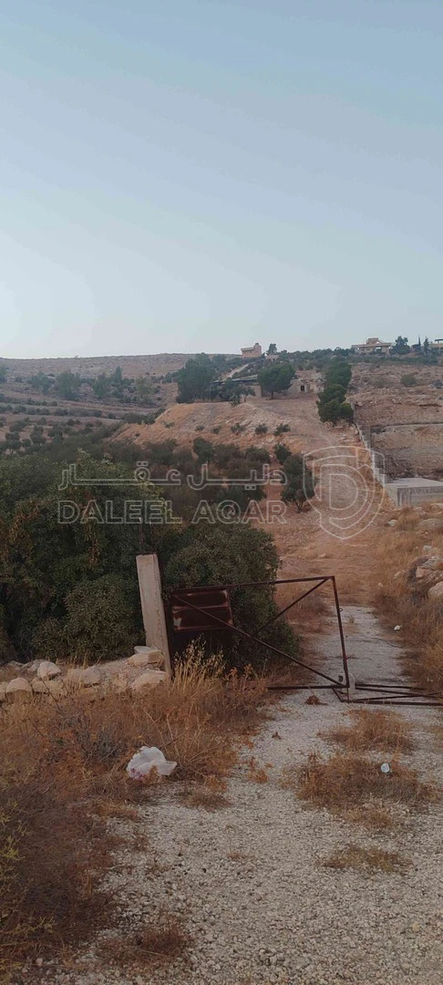 أرض في الزرقاء قضاء بيرين صروت  - 187,500 دأ - صورة 1
