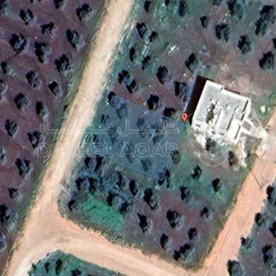 أرض في إربد أبان - 34,000 دأ - صورة 1