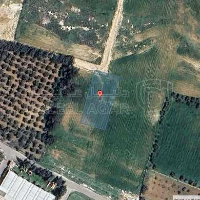 أرض في مطعم زوار - 205,000 دأ - صورة 1