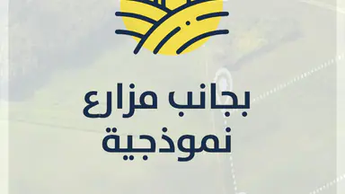 أرض في مشروع أرض المطار- جنوب عمان- الحمام الشرقي - 7,000 دأ - صورة NaN