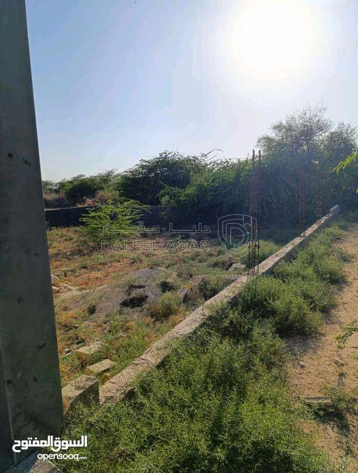 أرض في قرب نصب الجندي المجهول - 28,000 دأ - صورة 1