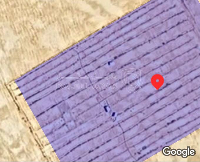 أرض في جنوب عمان - 4,000 دأ - صورة 1